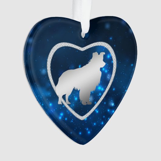 Bleu étoile feux Bordure Collie Chien (devant)