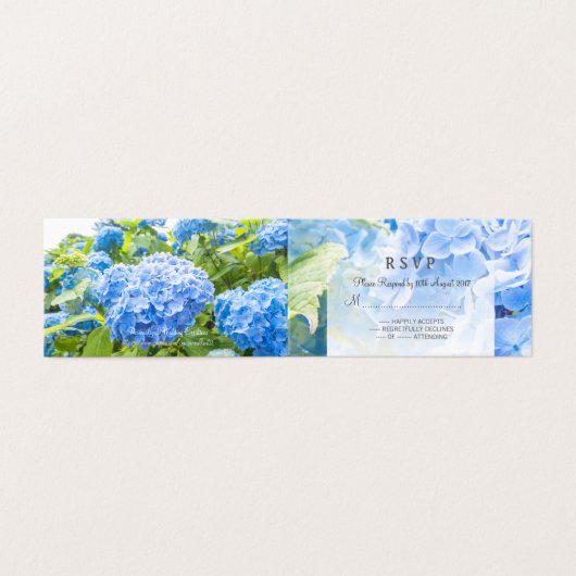 Bleu hydrangea beau mariage (Outside Unfolded)