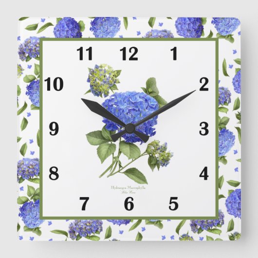 Bleu Hydrangea Botanique Art Carré Horloge murale (Recto)