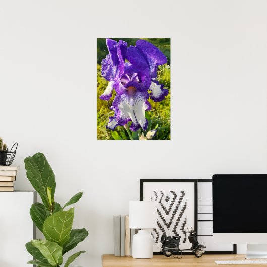 Bleu Iris Irises Blanc Floral Poster (Bureau à domicile)