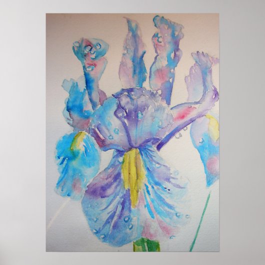 Bleu Iris Irises Floral Fleurs Aquarelle Poster (Devant)