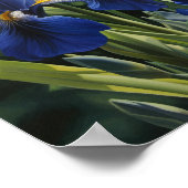 Bleu Irises Fleur Art Imprimer Poster (Coin)