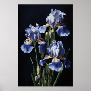 Bleu Irises Fleur Art Imprimer Poster