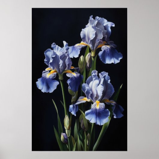 Bleu Irises Fleur Art Imprimer Poster (Devant)
