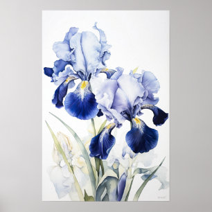 Bleu Irises Fleur Art Imprimer Poster