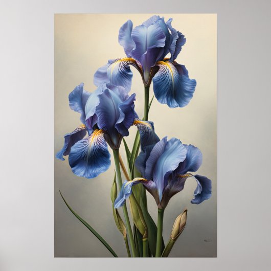 Bleu Irises Fleur Art Imprimer Poster (Devant)