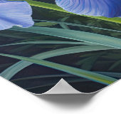 Bleu Irises Fleur Art Imprimer Poster (Coin)