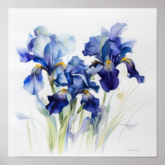 Bleu Irises Fleur Art Imprimer Poster (Devant)
