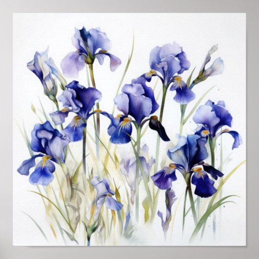 Bleu Irises Fleur Art Imprimer Poster (Devant)