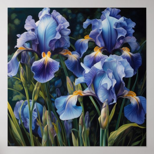 Bleu Irises Fleur Art Imprimer Poster (Devant)