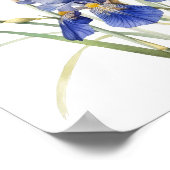 Bleu Irises Fleur Art Imprimer Poster (Coin)