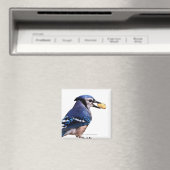 Bleu-Jay - Aimant (In Situ (Lave-vaisselle))