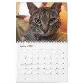 Bleu le chat - Calendrier 2021 (Jan 2027)