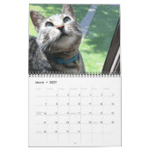 Bleu le chat - Calendrier 2021 (Mar 2027)