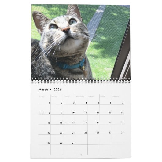 Bleu le chat - Calendrier 2021 (Mar 2026)