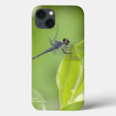 Bleu libellule sur coque ipad feuille (Verso)