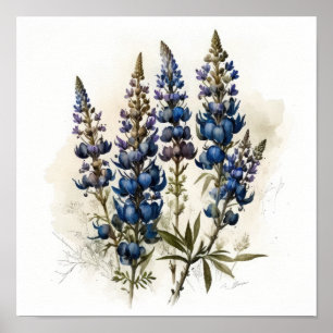 Bleu Lupine Flower Art Imprimer Poster