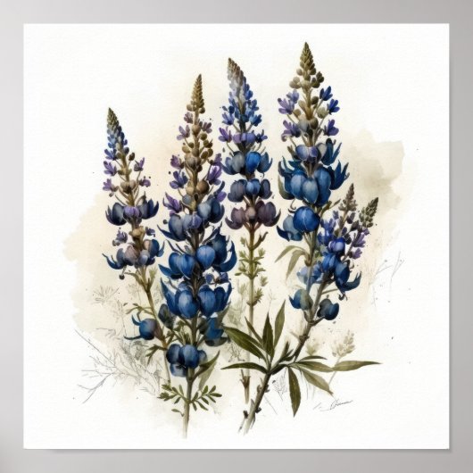 Bleu Lupine Flower Art Imprimer Poster (Devant)