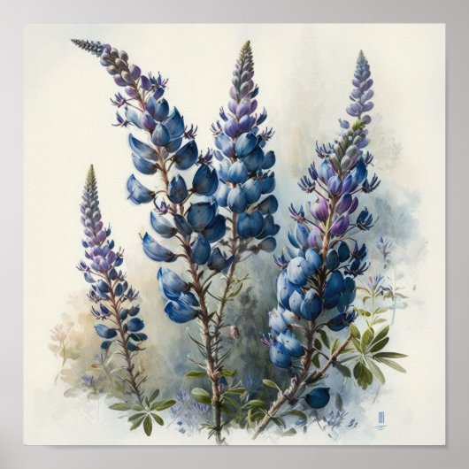 Bleu Lupine Flower Art Imprimer Poster (Devant)