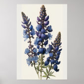 Bleu Lupine Flower Art Imprimer Poster (Devant)