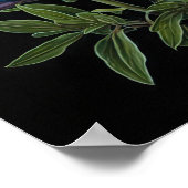 Bleu Lupine Flower Art Imprimer Poster (Coin)