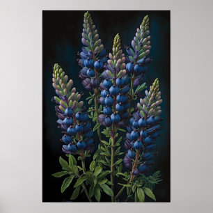 Bleu Lupine Flower Art Imprimer Poster