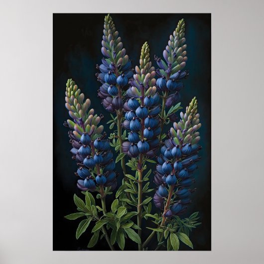 Bleu Lupine Flower Art Imprimer Poster (Devant)
