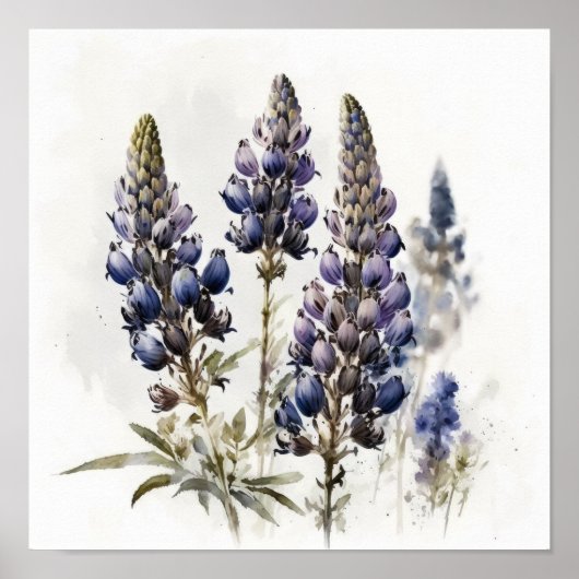 Bleu Lupine Flower Art Imprimer Poster (Devant)