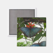 Bleu Morpho Papillons Poussière. Magnet (Recto/Verso)