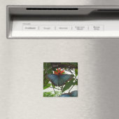 Bleu Morpho Papillons Poussière. Magnet (In Situ (Lave-vaisselle))