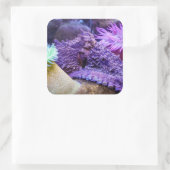 Bleu océan violet poulpe carré autocollant (Sac)