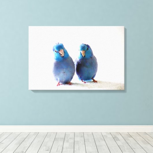Bleu Oiseaux Pacifique Parrotlet Couple toile enve (Insitu (Plancher de Bois))