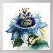Bleu Passion Flower Art Imprimer Poster (Devant)
