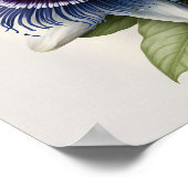 Bleu Passion Flower Art Imprimer Poster (Coin)