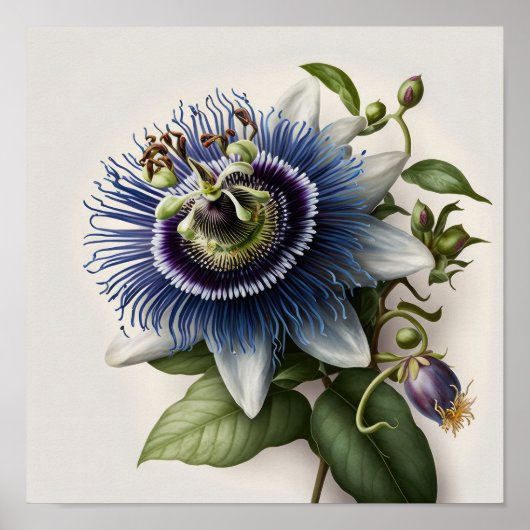 Bleu Passion Flower Art Imprimer Poster (Devant)