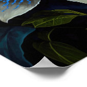 Bleu Passion Flower Art Imprimer Poster (Coin)