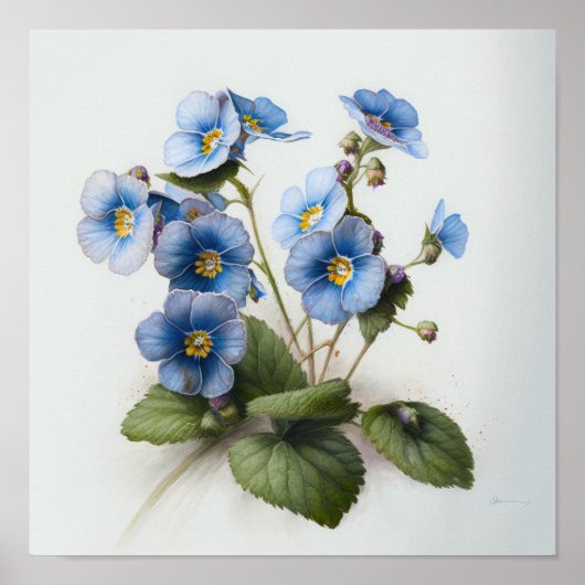 Bleu Primrose Fleurs Art Imprimer Poster (Devant)