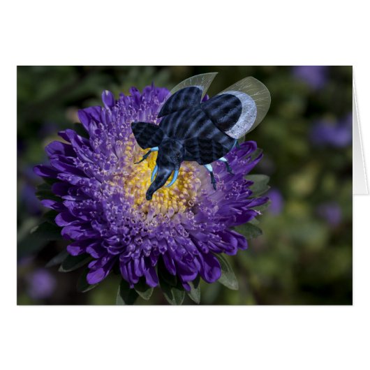 Bleu Rare Elephant Bug (Devant horizontal)