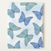Bleu simple Belle Papillons Aquarelle mignonne (Dos)
