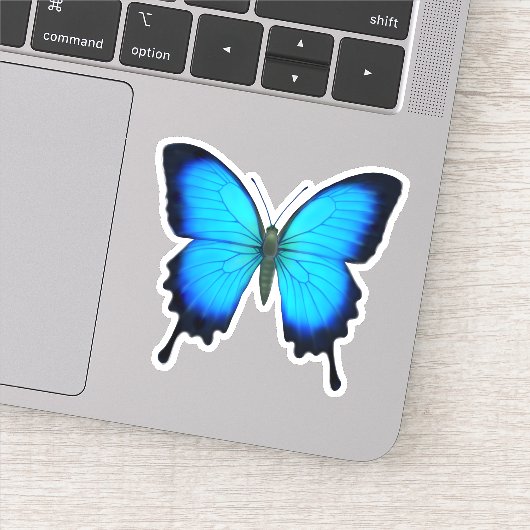 Bleu Ulysse Sticker à contour papillon à queue épa (Détail)