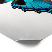Bleu Ulysses Papillon Art Imprimer Poster (Coin)