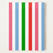 Bleu vert et rose rayé (Dos)