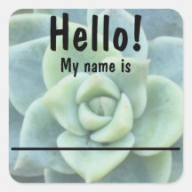 Bleu vert Succulent Nom étiquette Stickers