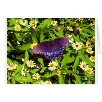 Bleu Violet Iridescent avec Ailes de Papillon Noir