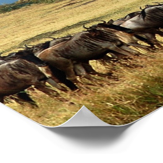 Bleu wildebeest (gnu) affiche de migration, impres (Coin)