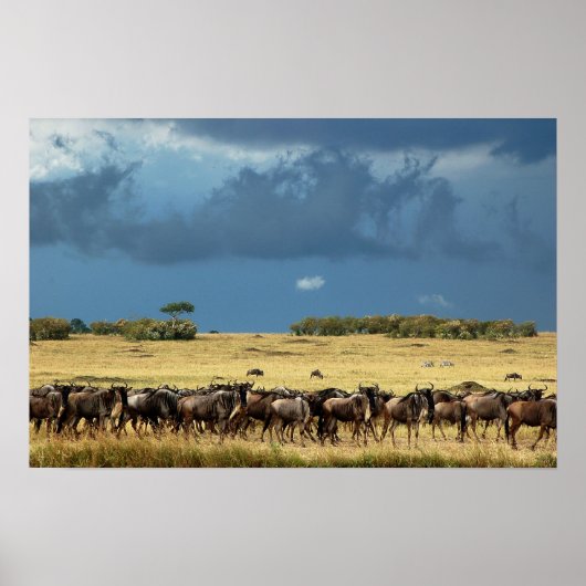 Bleu wildebeest (gnu) affiche de migration, impres (Devant)