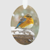 Bleuet de l'Est en neige - Photo originale (dos)