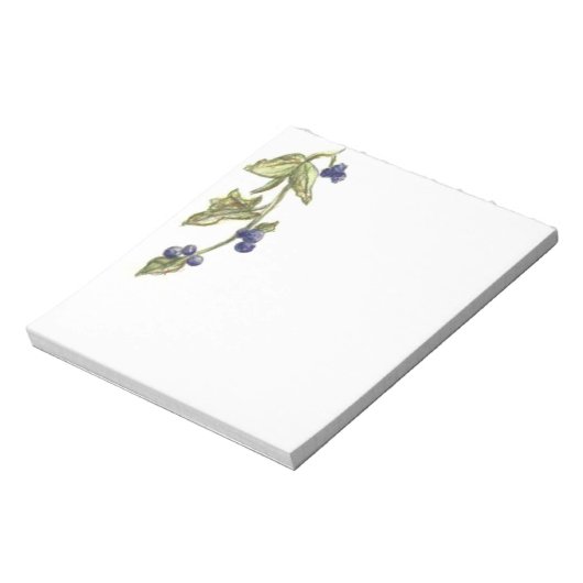Bleuets Sur Bloc-Notes Vin (Tourné)