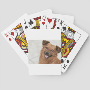 Blij Bruin Puppy Hond Speelkaarten