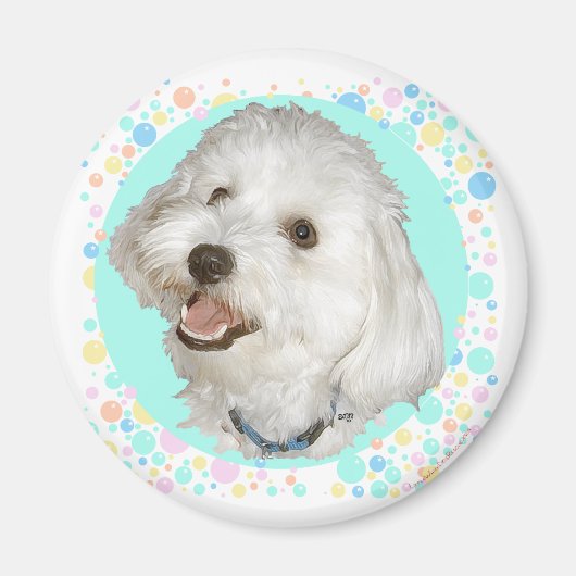 Blij Havanese Magneet (Voorkant)